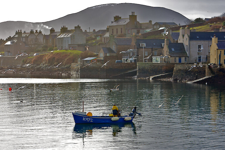 orkney day tours from stromness